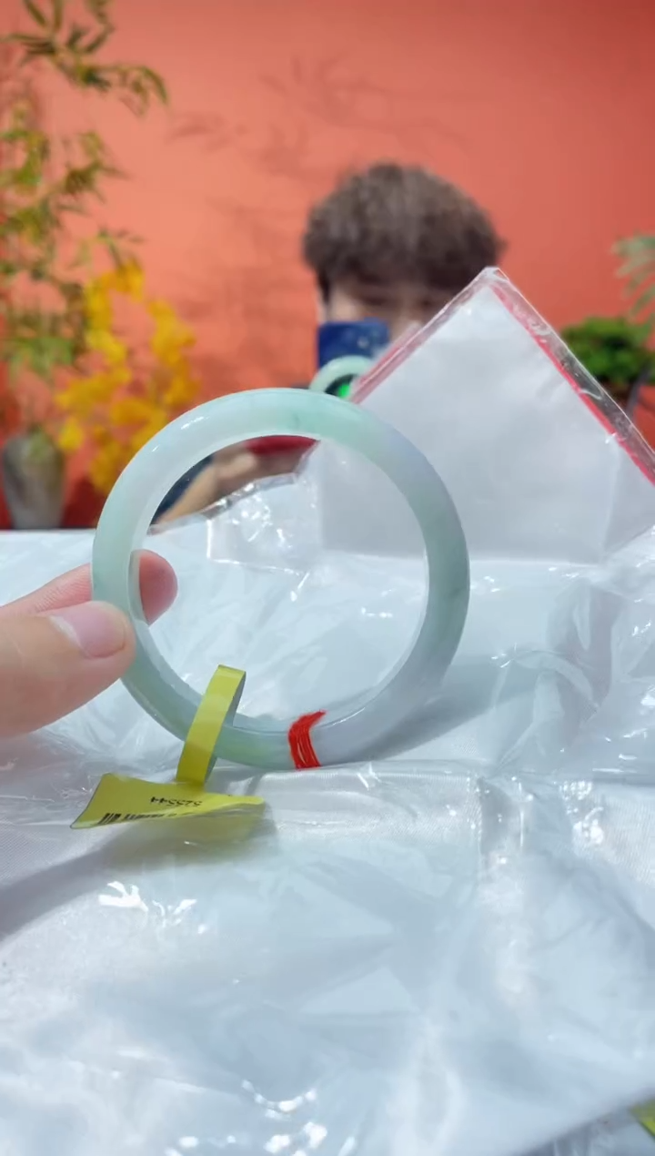 未镶嵌手镯翡翠9