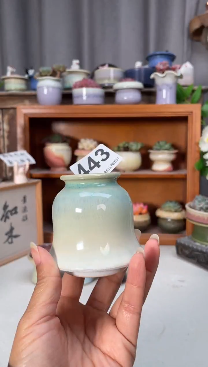 瓷片443知木小芳花盆