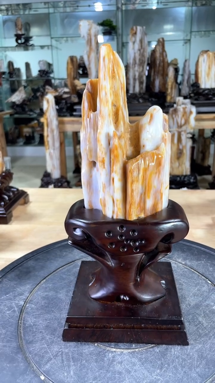 【闪购商品】硅化玉珠宝奇石未镶嵌268