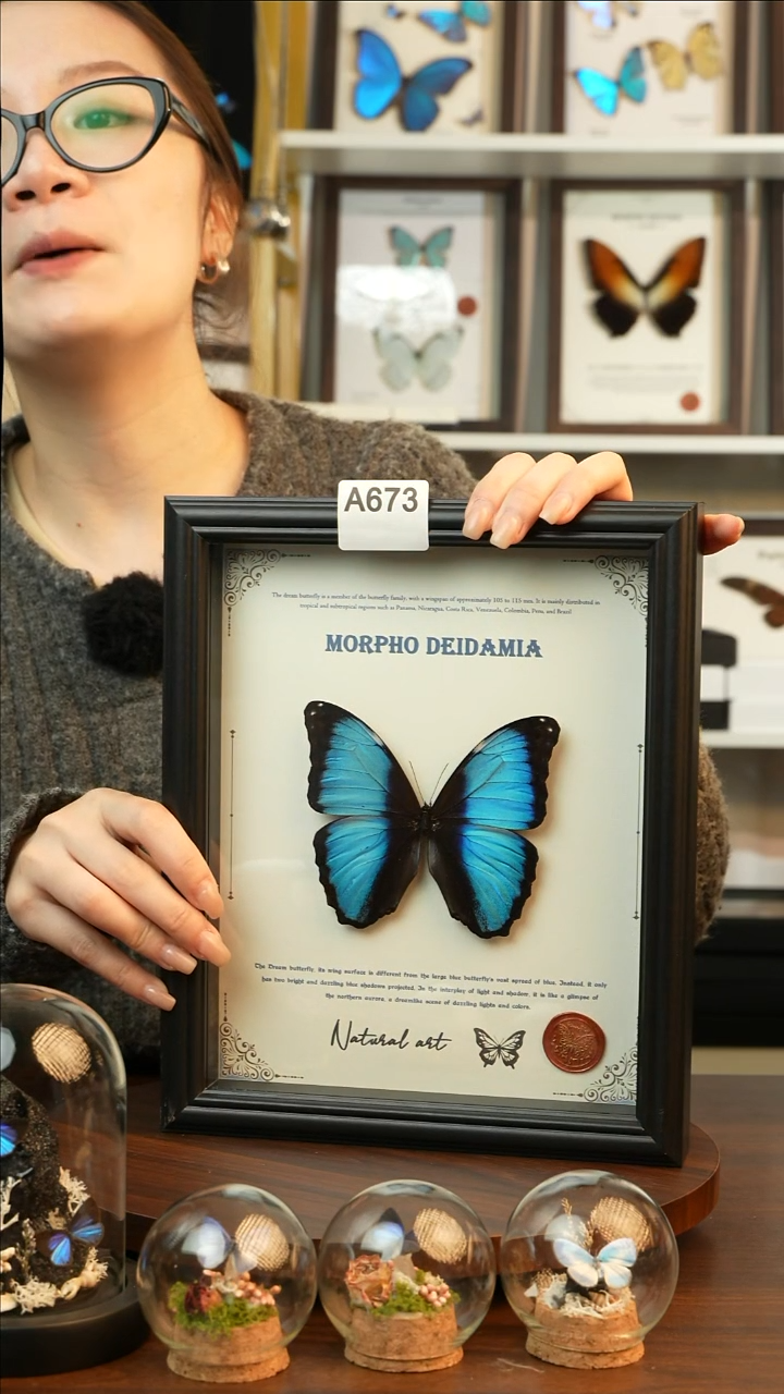 梦幻闪蝶-英文（10寸欧式黑框）A673