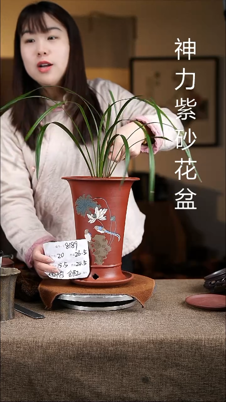 紫砂花盆紫砂花盆8189+z