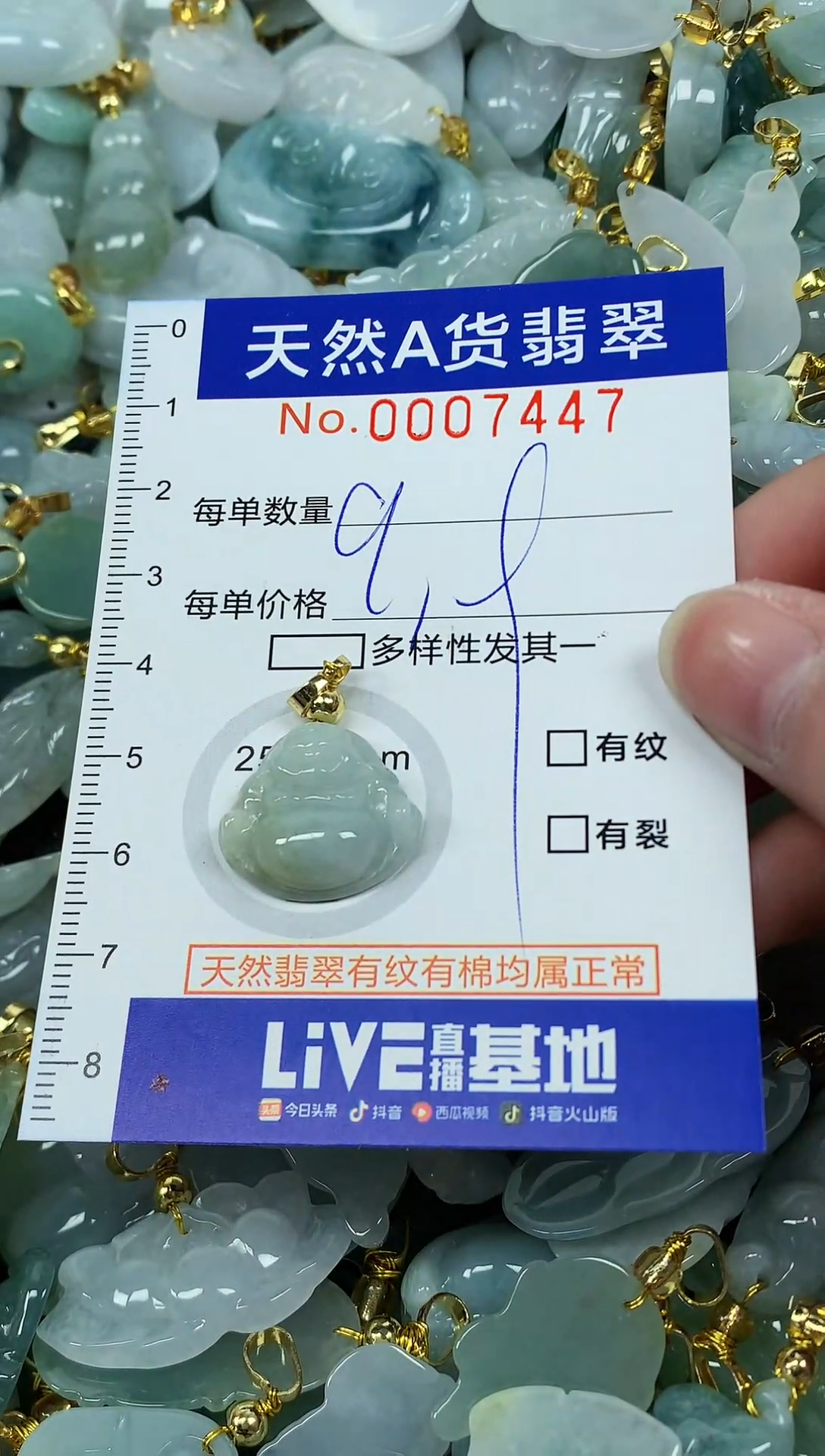 颈饰未镶嵌翡翠纯天然a货翡翠