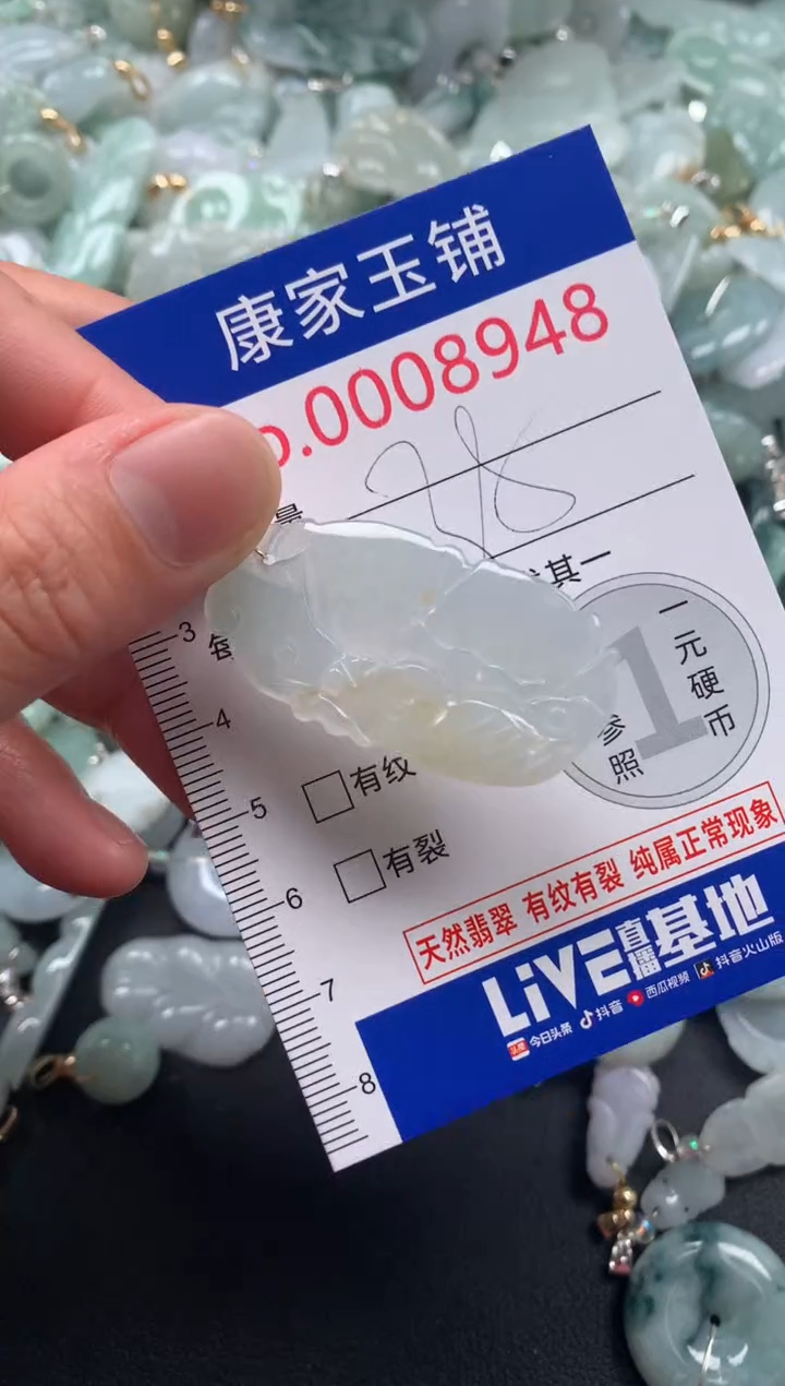 颈饰未镶嵌翡翠8948