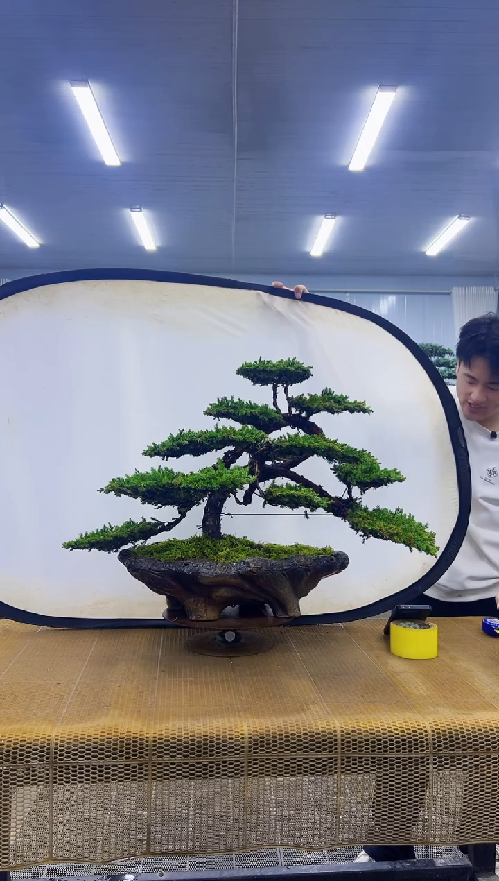 0000000000000000000000000