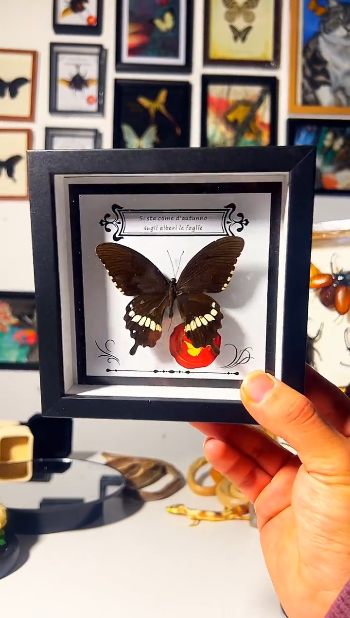 有机玻璃6489949565