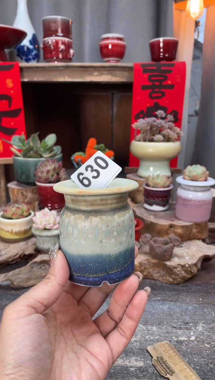 【闪购商品】摆件630知木小芳花盆