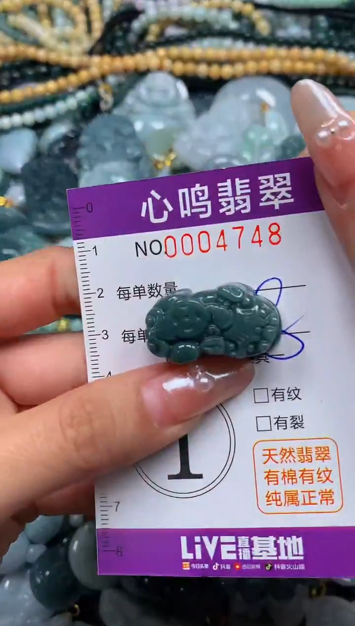 颈饰未镶嵌翡翠闪购004748