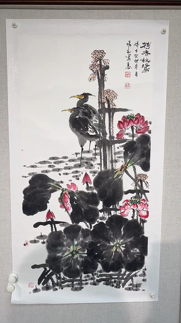 国画石福利老师三尺