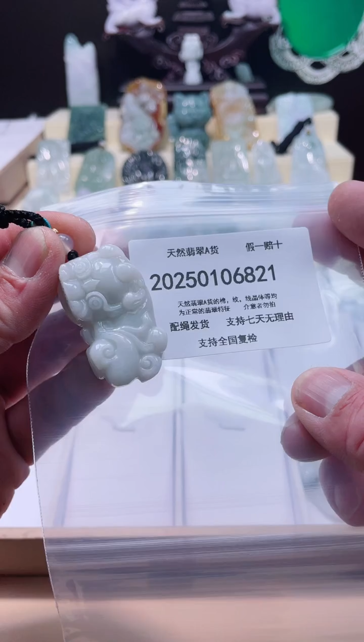 【闪购商品】翡翠颈饰未镶嵌闪购商品8号店200250010022