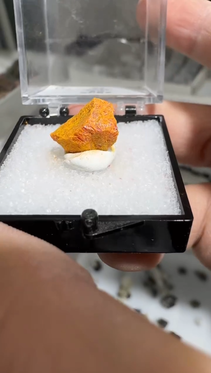 【闪购商品】月下珠宝严选矿物