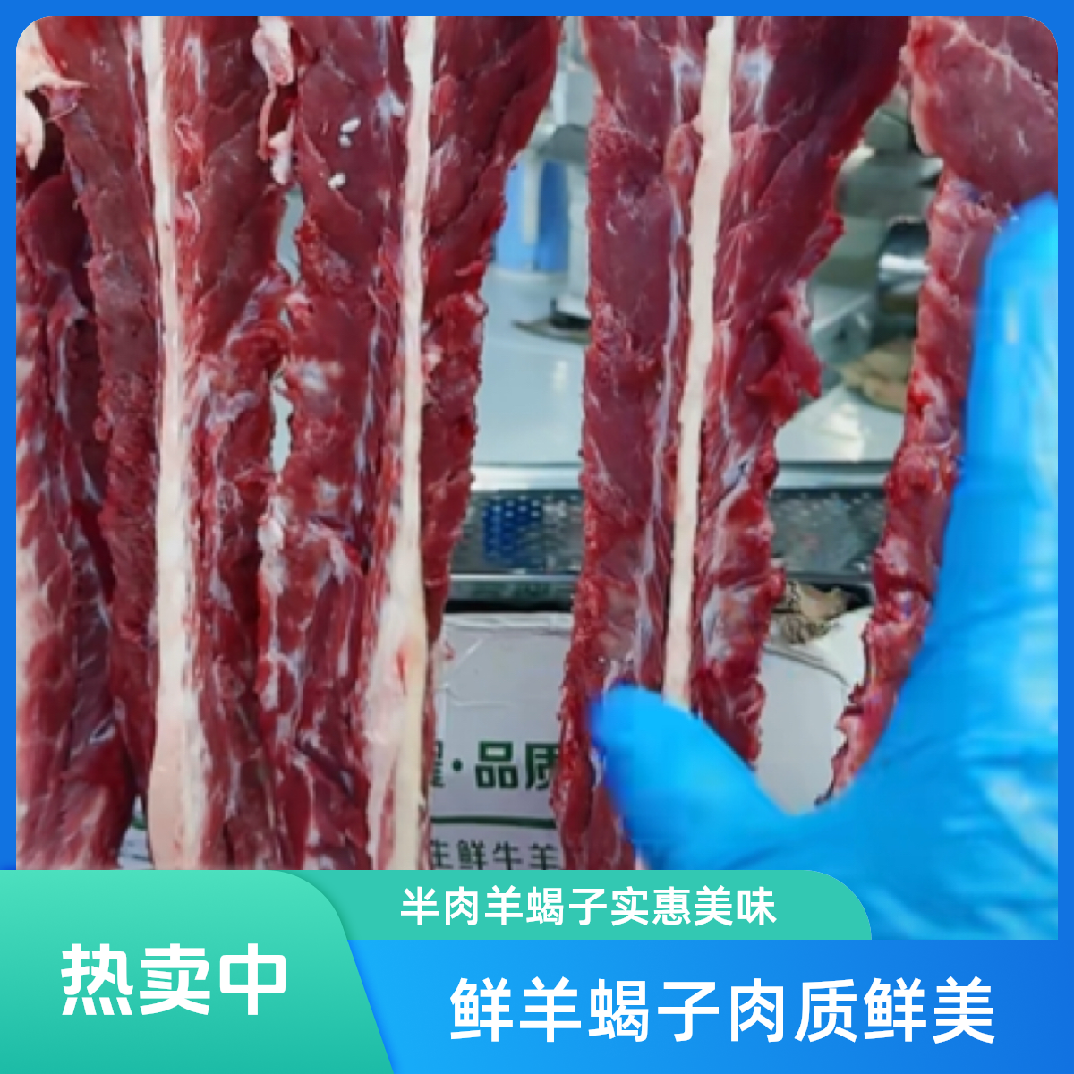 羊蝎子（拍的越多越便宜）