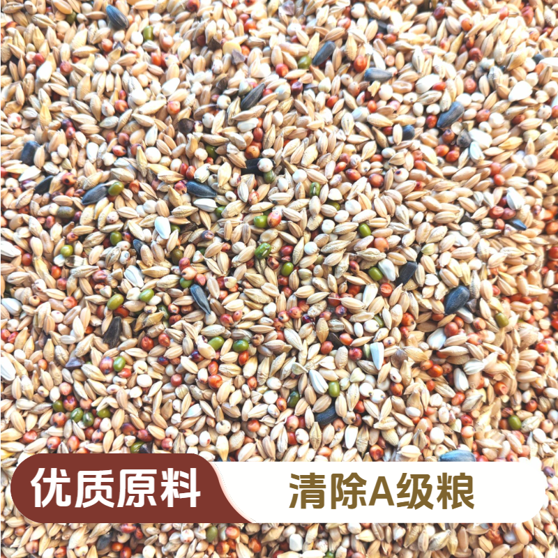 宏图【清除粮】50斤鸽粮包邮 信鸽幼鸽观赏鸽