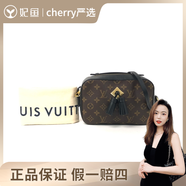 95新/路易威登/包包/250703CY0020