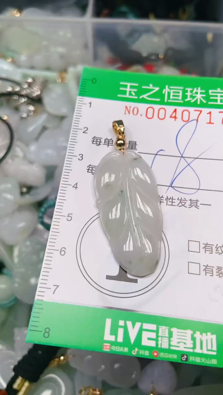 【闪购商品】翡翠颈饰未镶嵌闪购0040717