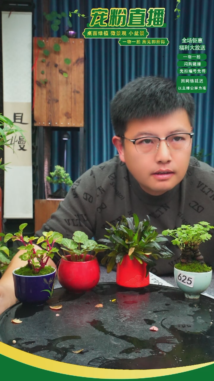 无花朵假****〆苔藓微景观625号