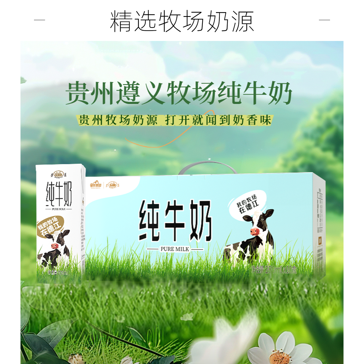 遵义乳业纯牛奶200ml*10盒（到手3箱）纯牛奶整箱纯牛奶纯牛奶