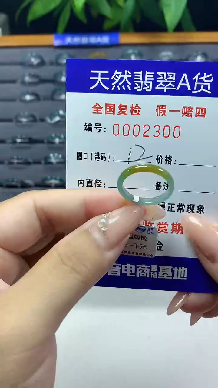 翡翠未镶嵌戒圈天然翡翠A货2300