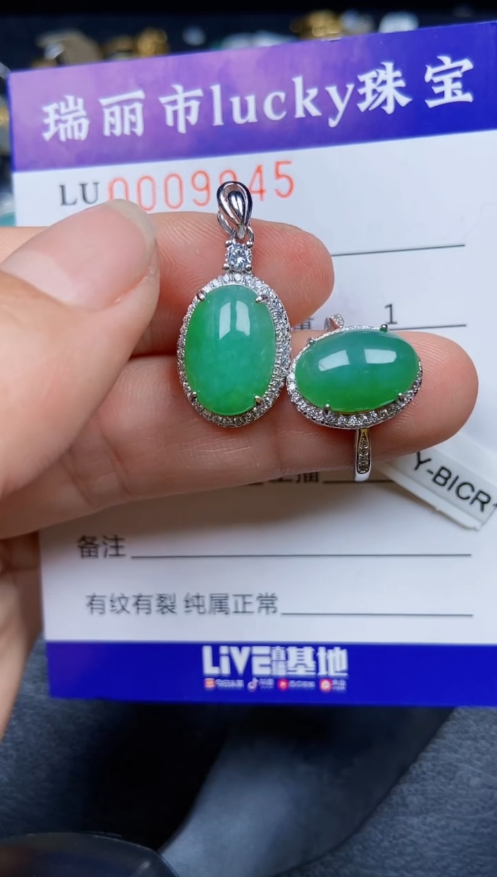 【闪购商品】翡翠颈饰银S925镶嵌9845