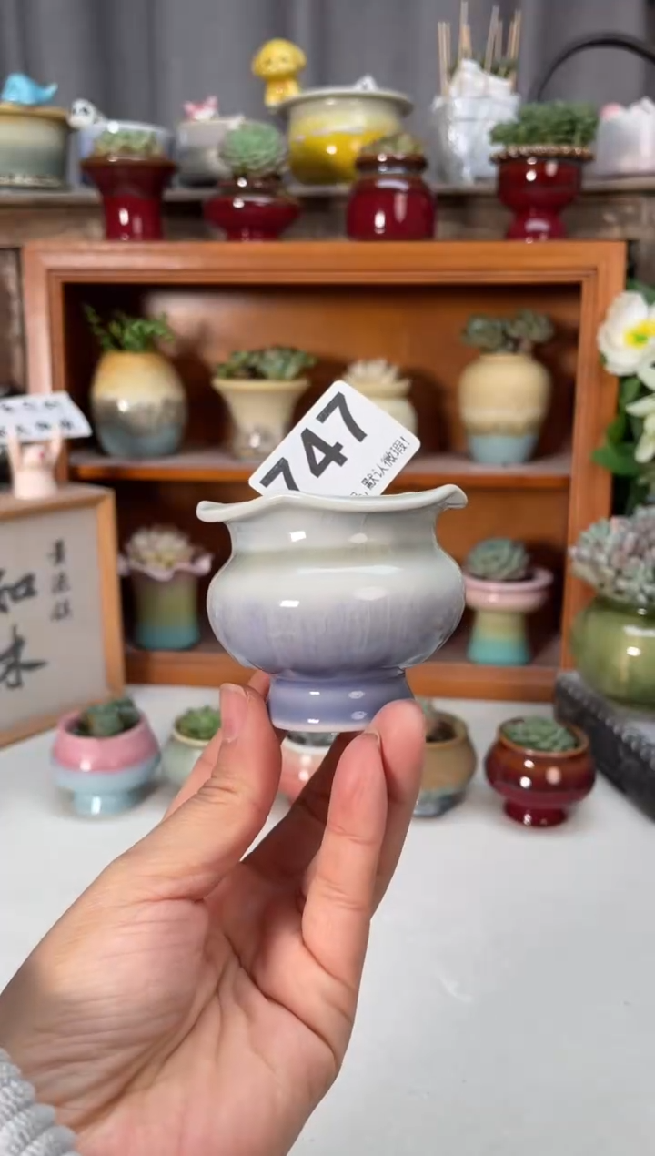 瓷片747小芳直播编号