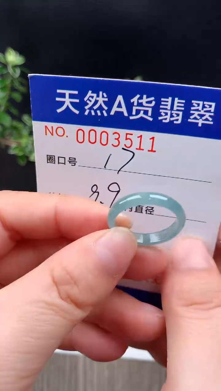 未镶嵌戒指翡翠17#