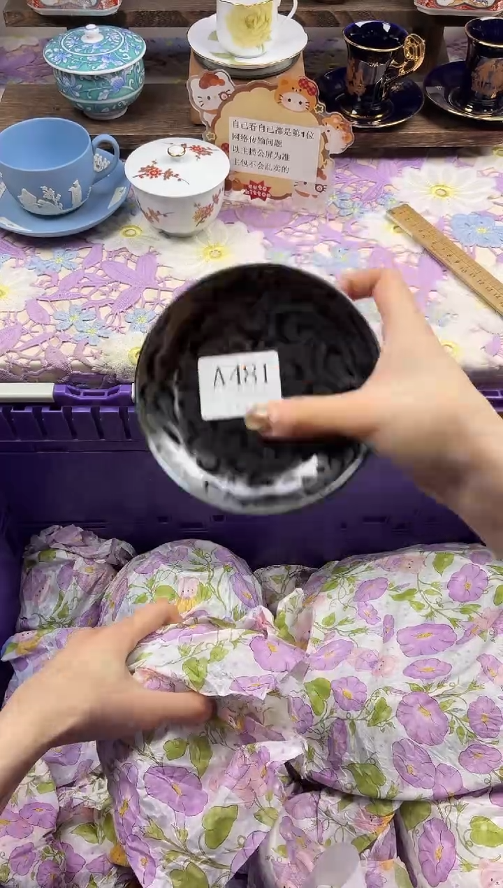 瓷片小***鱼                A481