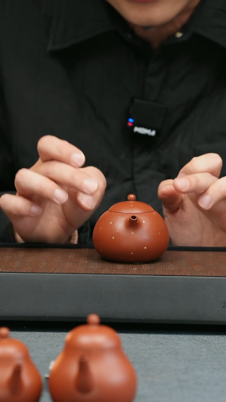 【闪购商品】紫砂茶壶五堂 豆蔻-鎏金岁月