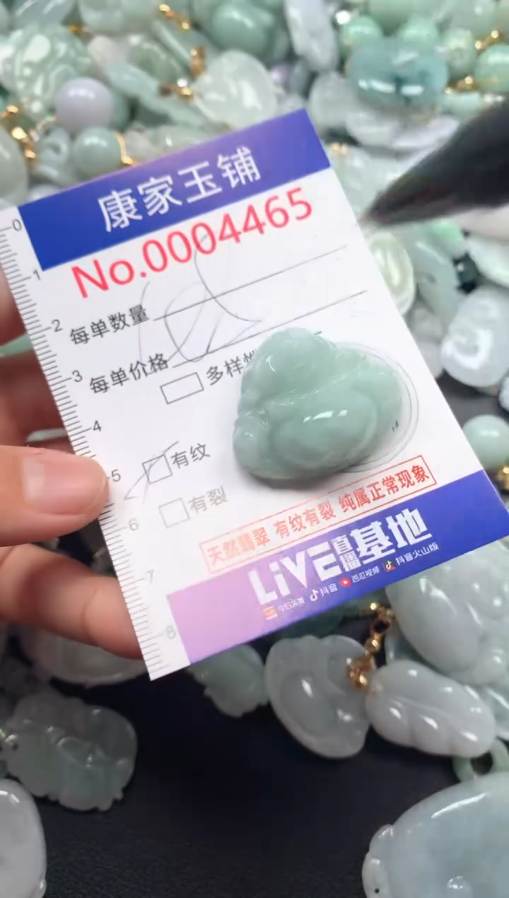 颈饰未镶嵌翡翠4465