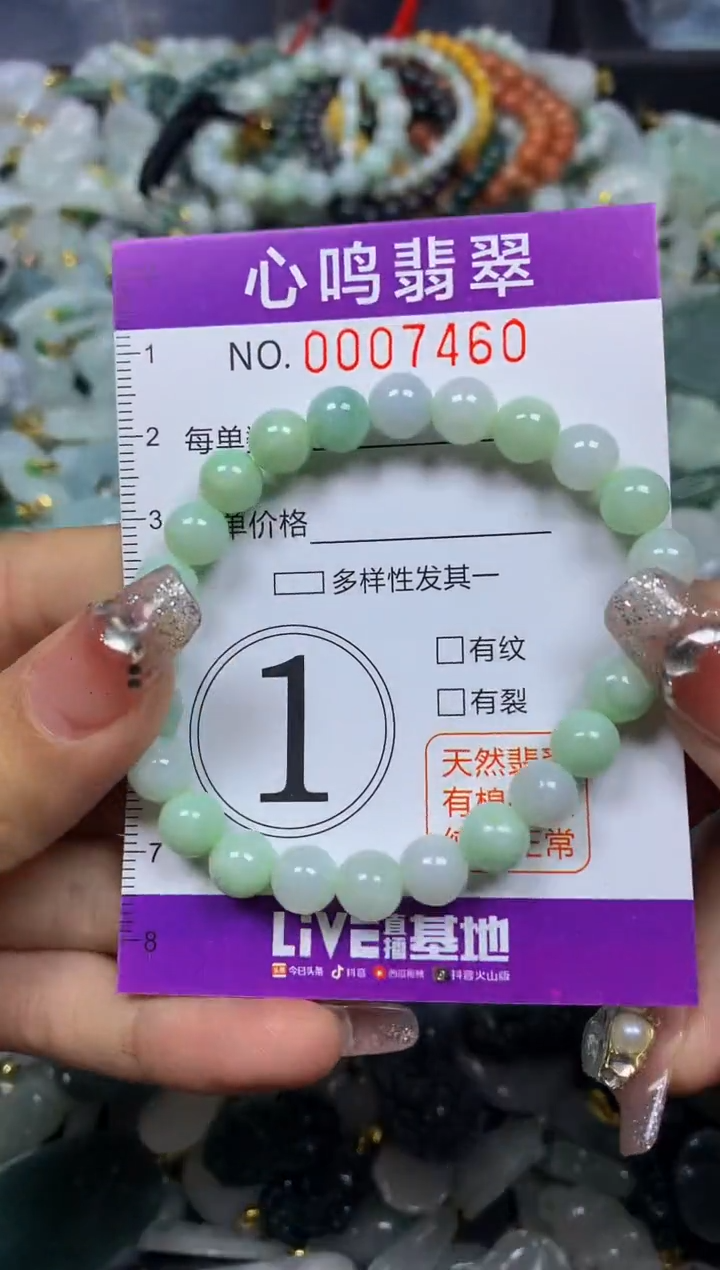 【闪购商品】翡翠颈饰未镶嵌闪购007460