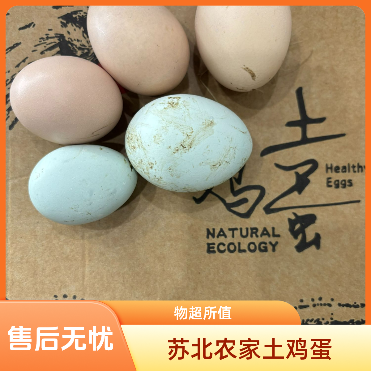 苏北正宗农家散养土鸡蛋和绿壳鸡蛋新鲜当天蛋
