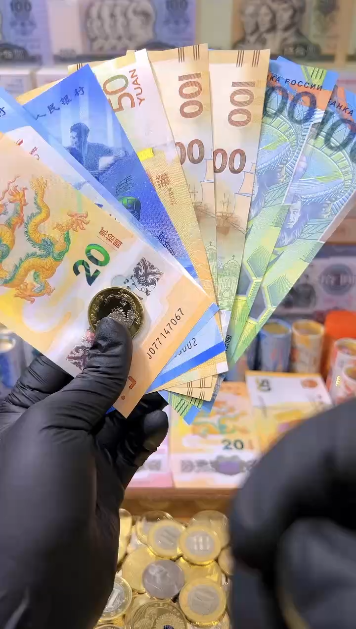 【闪购商品】其他普通金属龙腾盛世纪念八钞一币合集（纸+塑料）