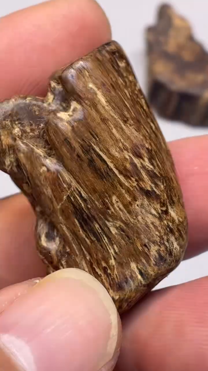 沉香吊坠 海南沉香随型吊坠沉水多样性发其一