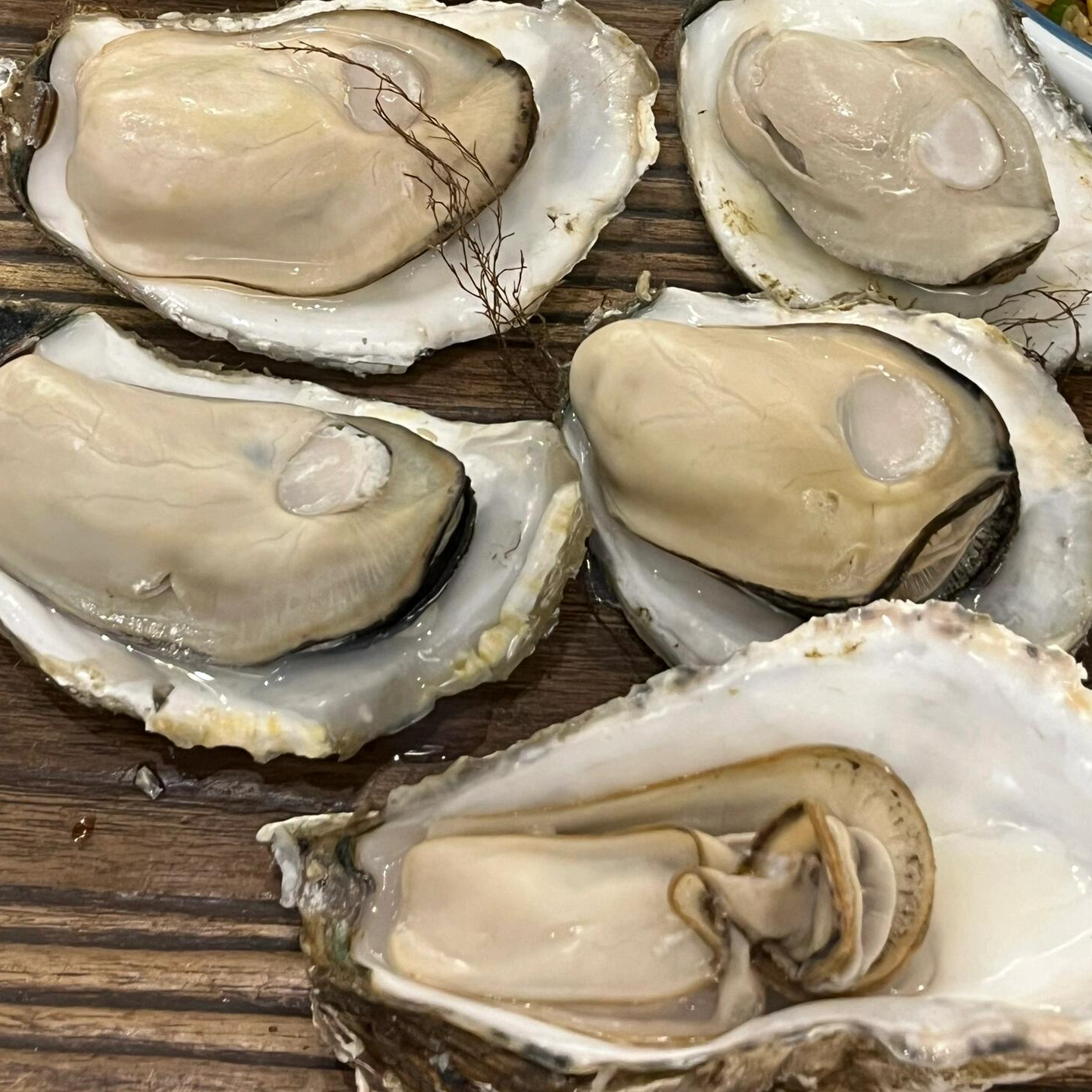 【买5斤送4斤】山东原产地特产鲜活生蚝海蛎子