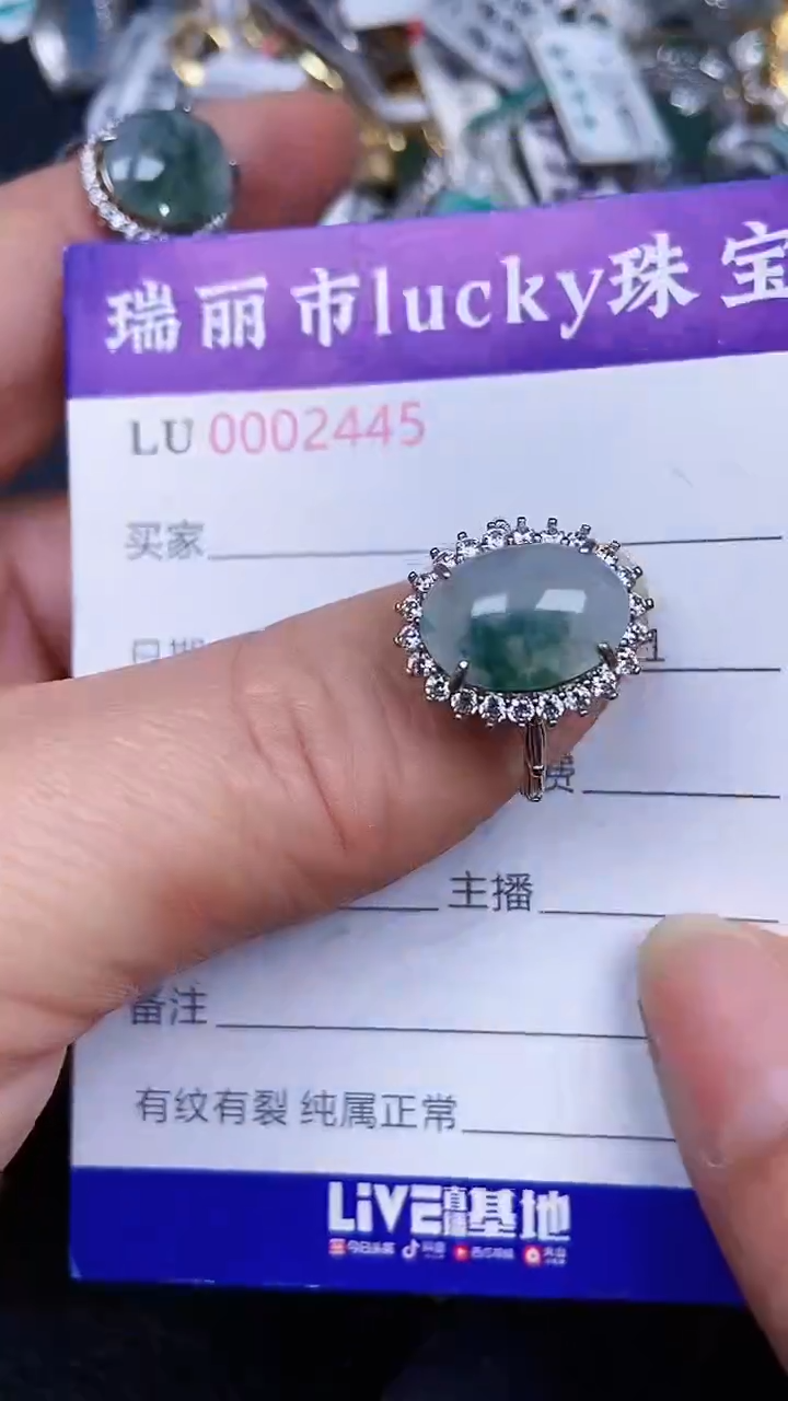 颈饰银S925镶嵌翡翠2445