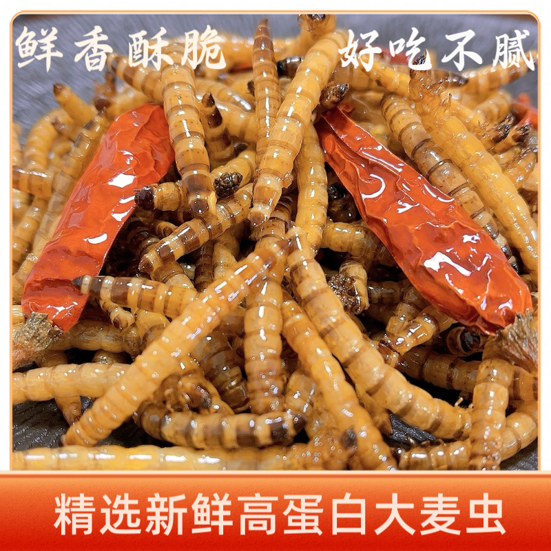 油炸大麦虫虫子美食食用昆虫美味香酥脆即高蛋白质下酒小吃零食