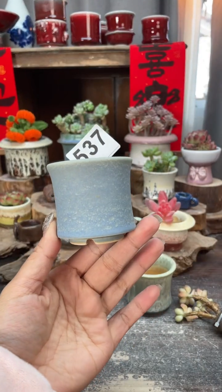 【闪购商品】摆件537知木小芳花盆