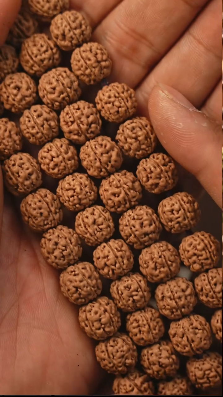 手串金刚菩提S34战神盘龙