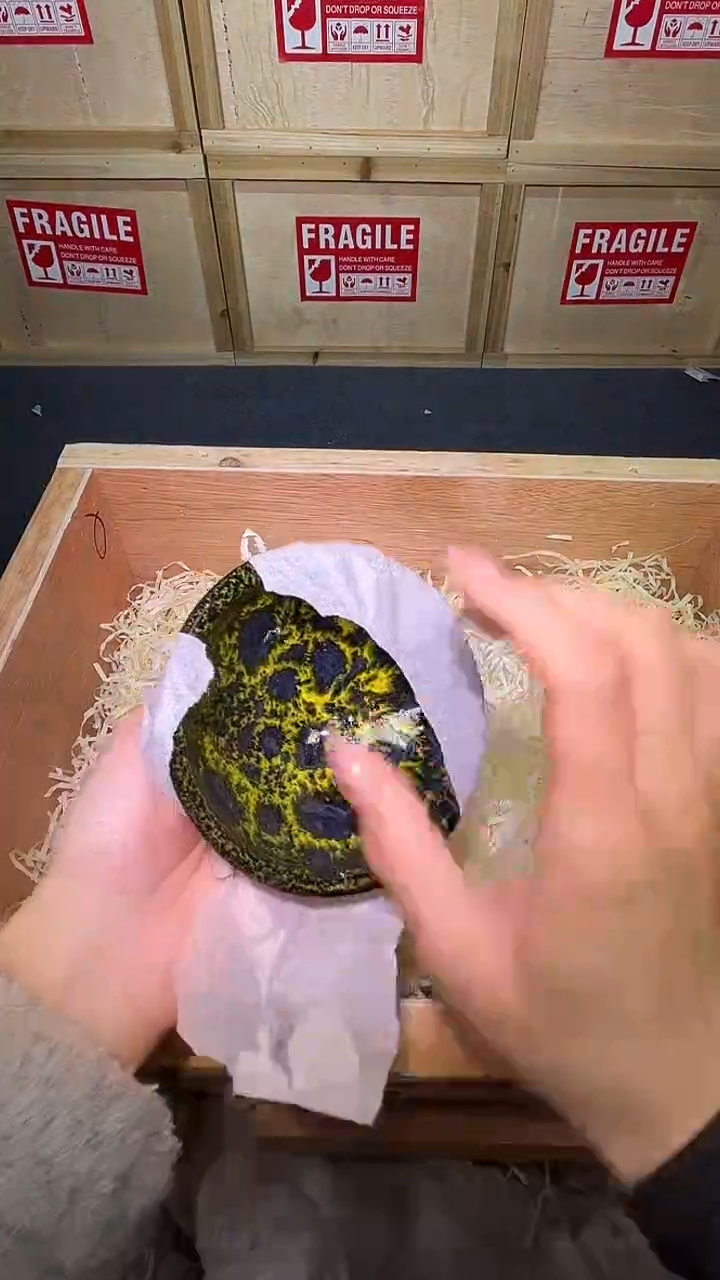 茶盏茶盏主人杯绿野仙踪