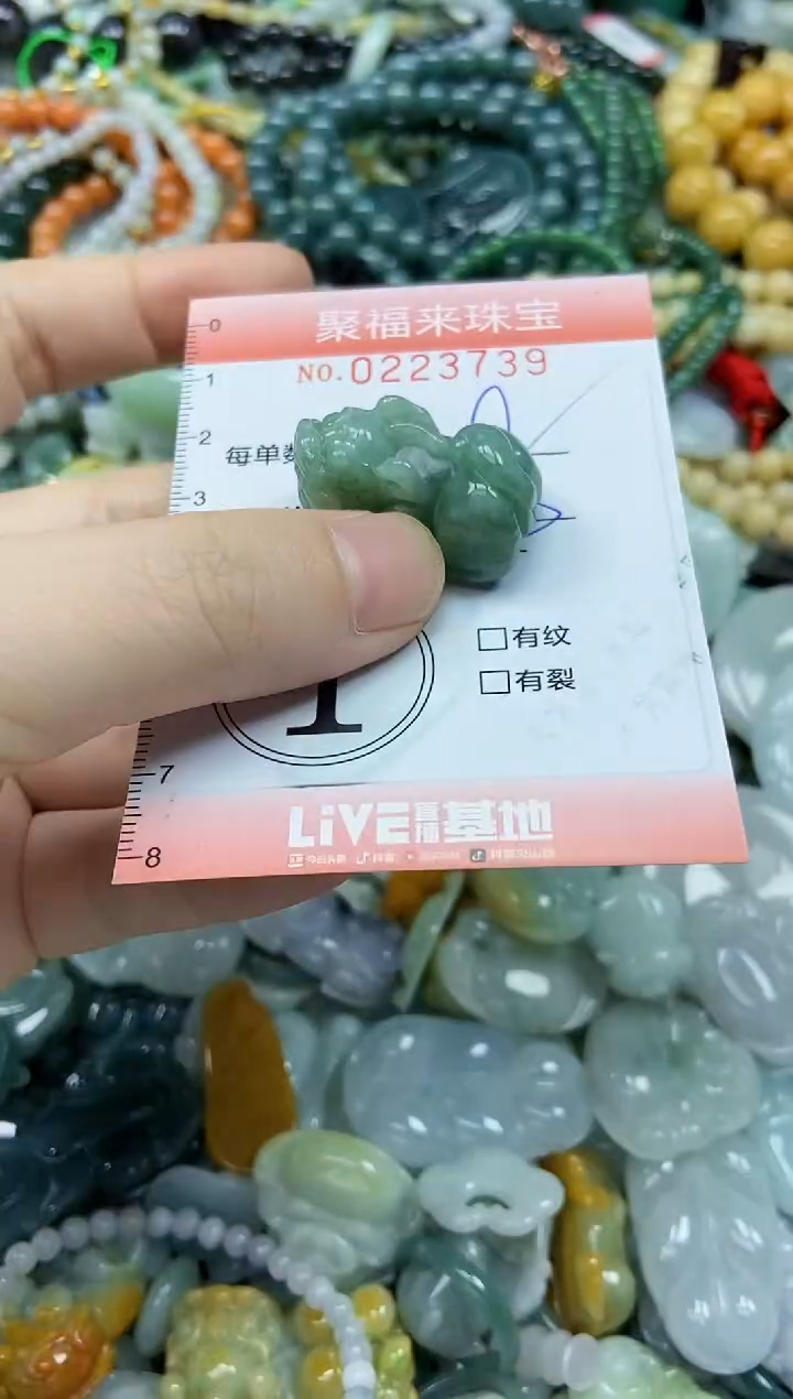 未镶嵌挂件翡翠闪购0223739