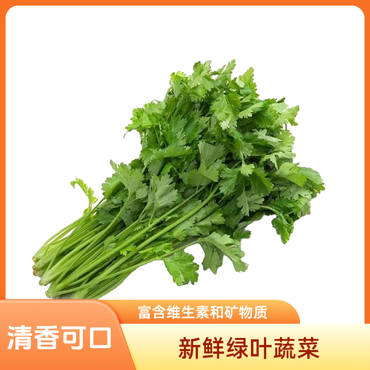 无品牌香菜 约100-110g