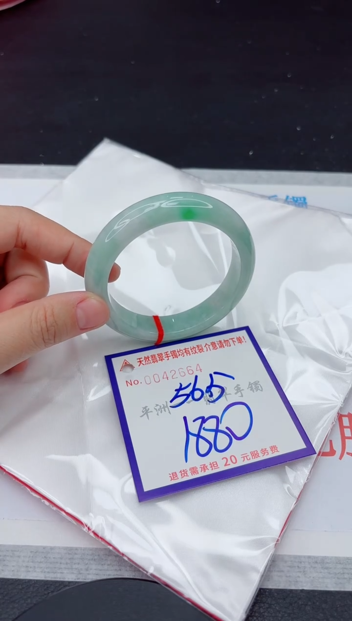 未镶嵌手镯翡翠1111111