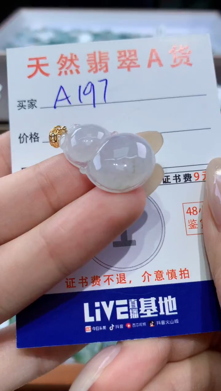 颈饰未镶嵌翡翠天然翡翠A货挂件