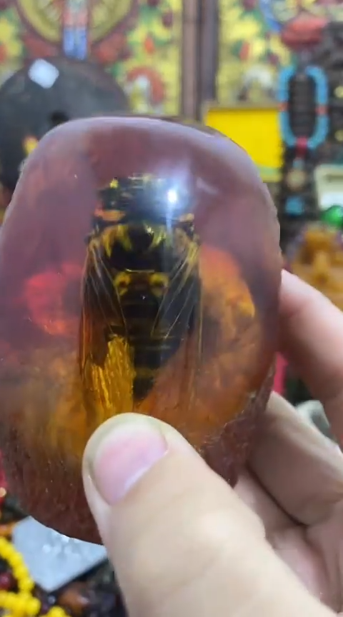 【闪购商品】1其他             