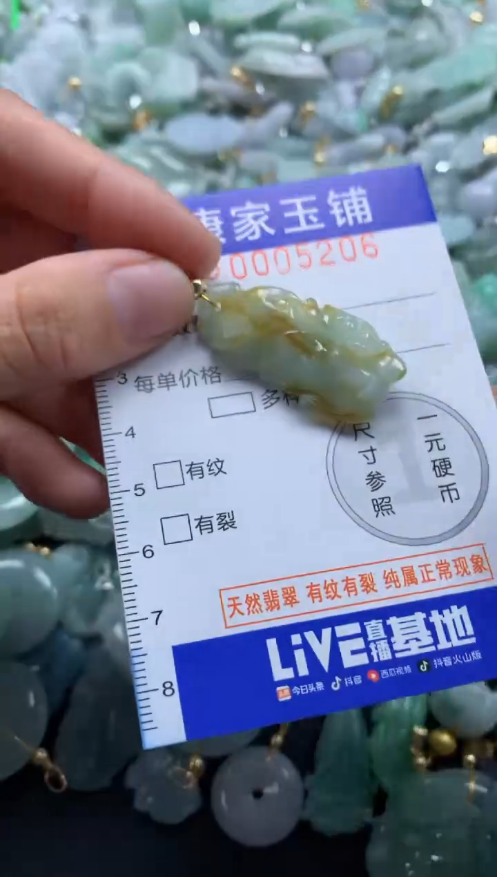 颈饰未镶嵌翡翠5206