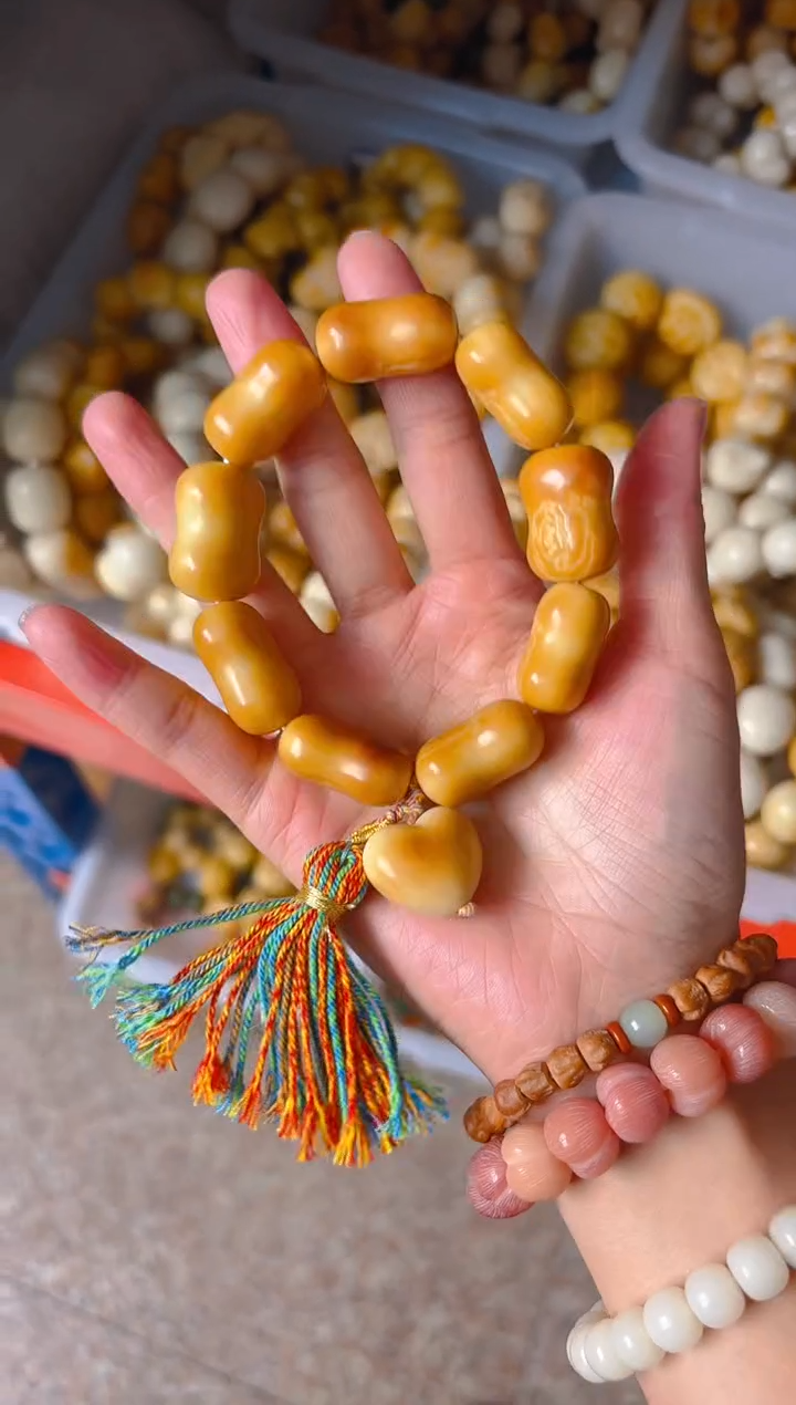 吊坠菩提根/象牙果小香单圈