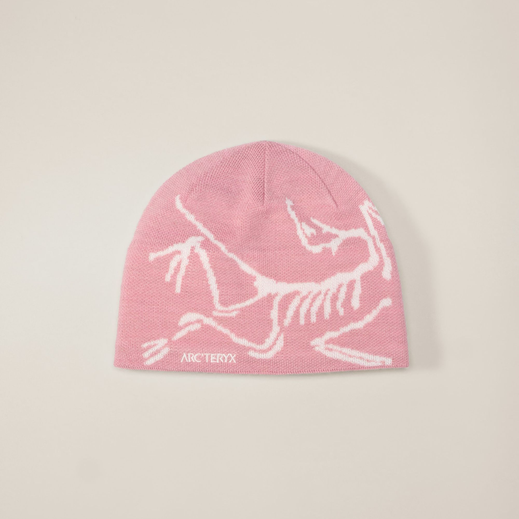 ARC'TERYX/始祖鸟【12月新色】男女同款BIRD HEADToque无边帽 X6756
