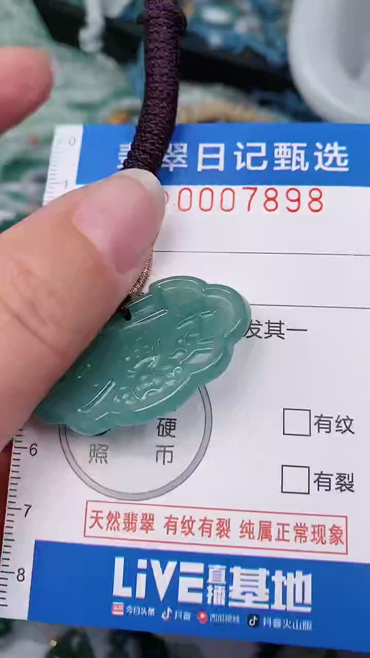 【闪购商品】翡翠颈饰未镶嵌00007898