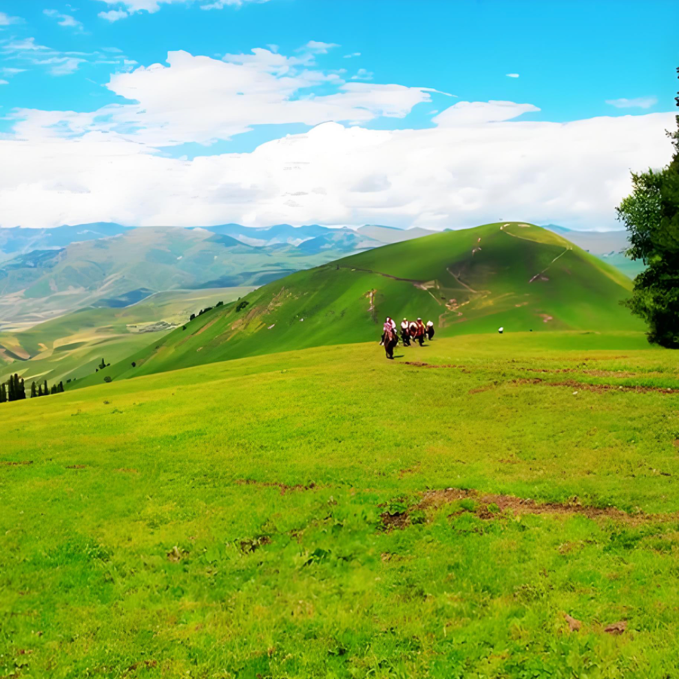 真实大草原风景 大自然风光蓝天白云优美秀丽美如画拼图