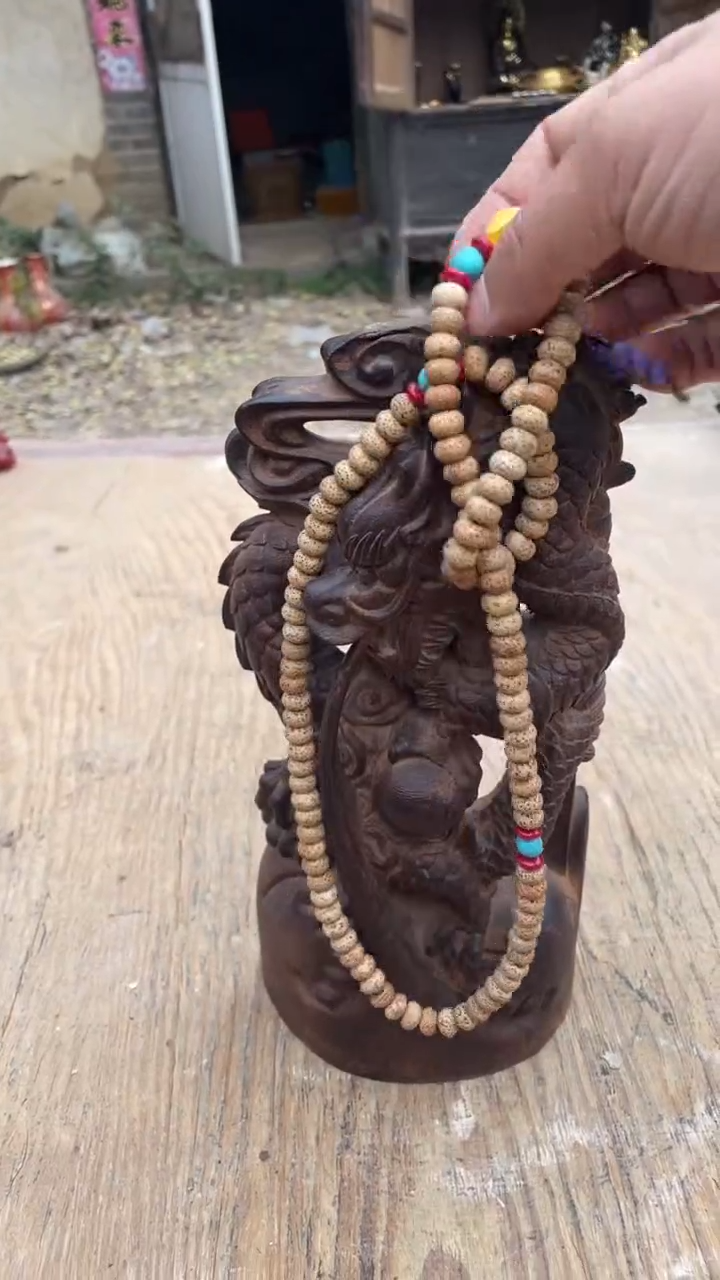 【闪购商品】菩提根/象牙果把件精品好物 好物菩提