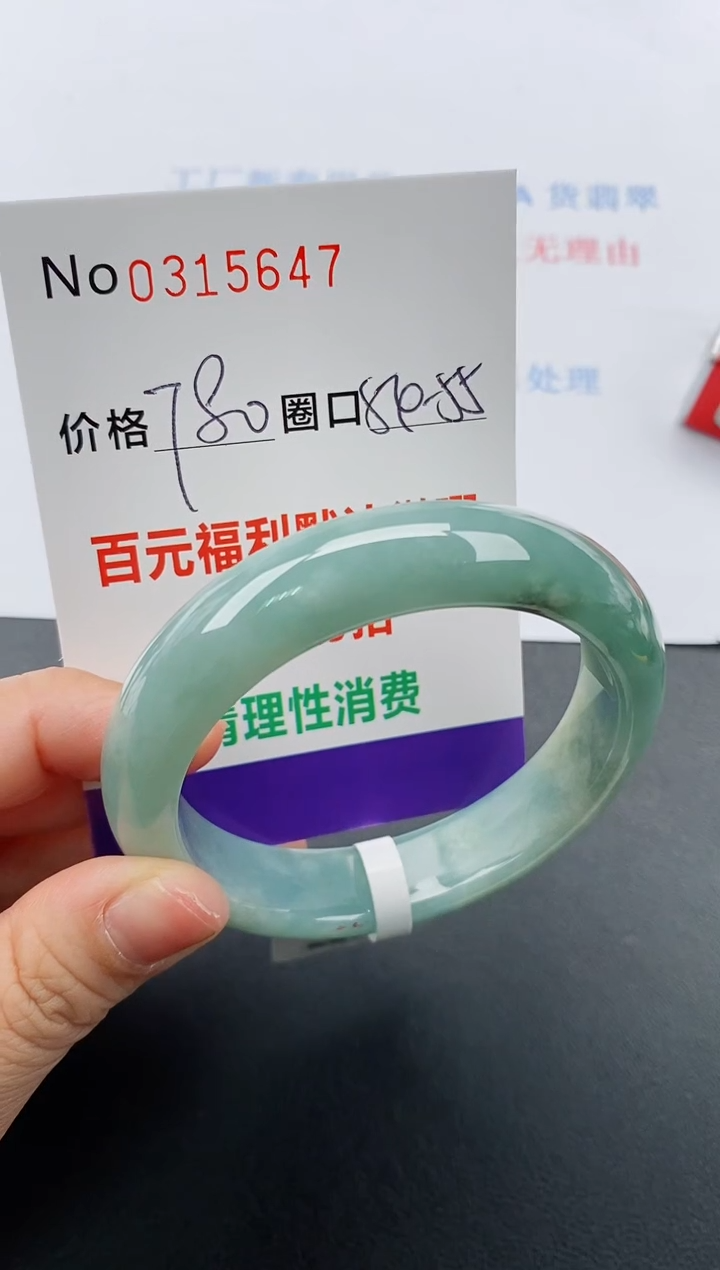 【闪购商品】翡翠手镯未镶嵌天然A货翡翠0315647