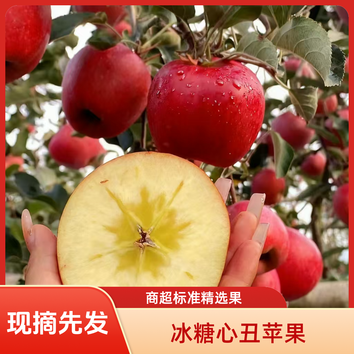 精选云南昭通红富士冰糖心丑苹果甜苹果包脆甜现摘